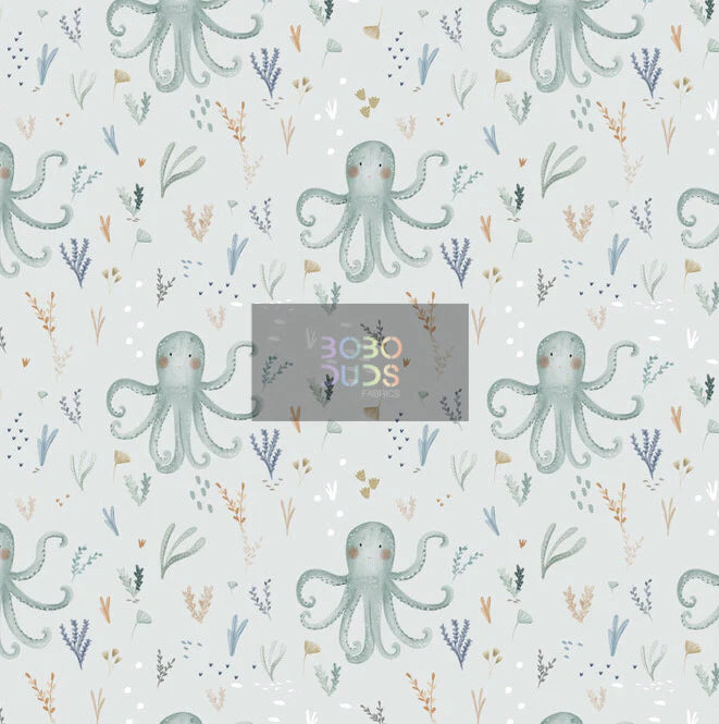Octopus